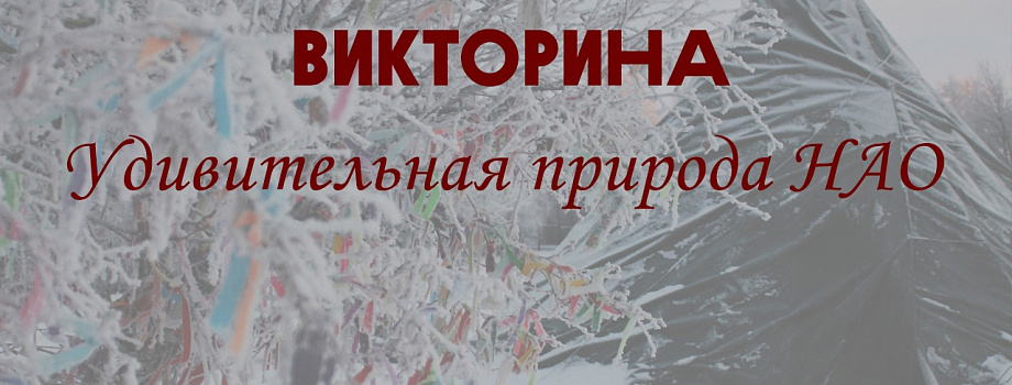 Туристско-информационный центр Ненецкого АО запускает викторину «Удивительная природа НАО»