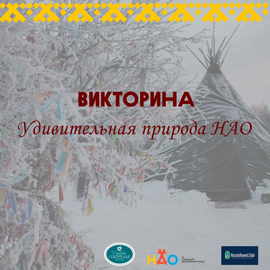 Туристско-информационный центр Ненецкого АО запускает викторину «Удивительная природа НАО» Туристско-информационный центр Ненецкого АО запускает викторину «Удивительная природа НАО»