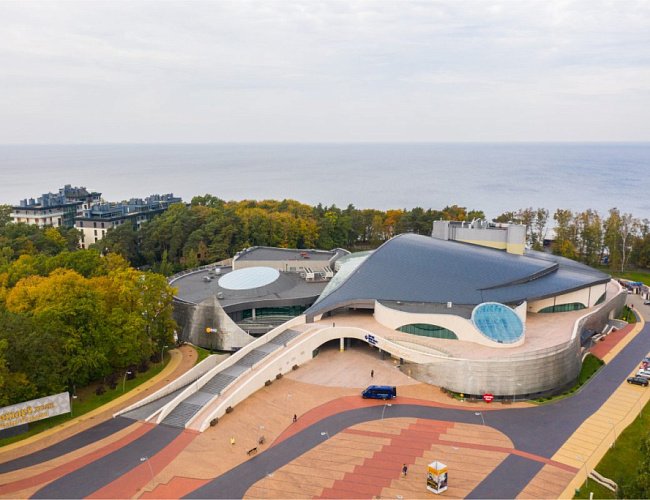 Янтарное море