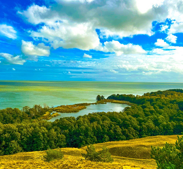 Тайными тропами Куршской косы до семейной сыроварни «ШаакенДорф» и Зеленоградск
