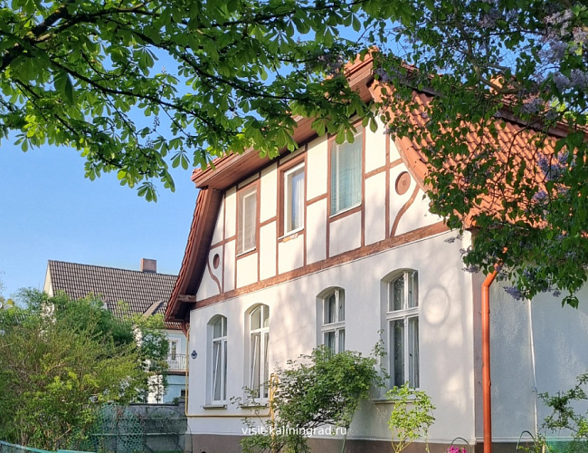 Амалиенау в деталях и историях