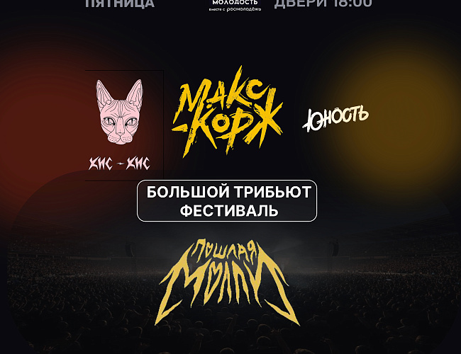 Большой трибьют-фестиваль