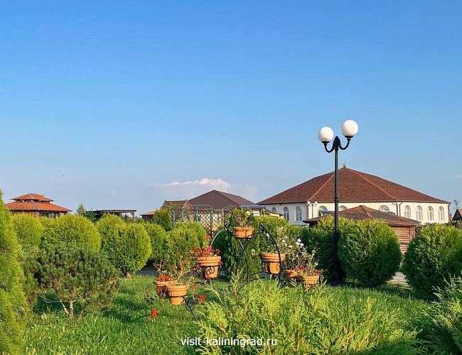 Парк птиц «Приозерье»