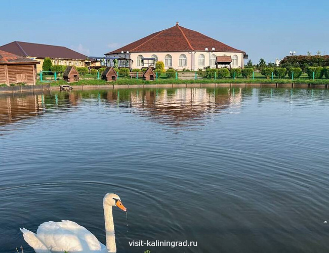 Парк птиц «Приозерье»