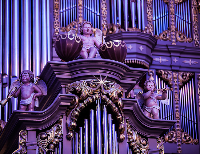 Международный музыкальный фестиваль «Орган +»