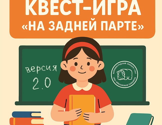 Квест-игра «На задней парте»
