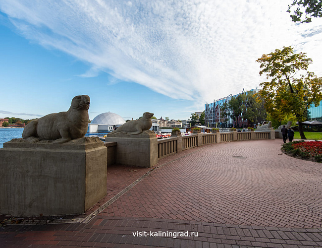 Скульптуры морских животных 