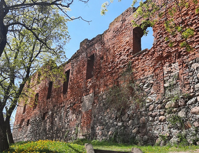 Insterburg Castle