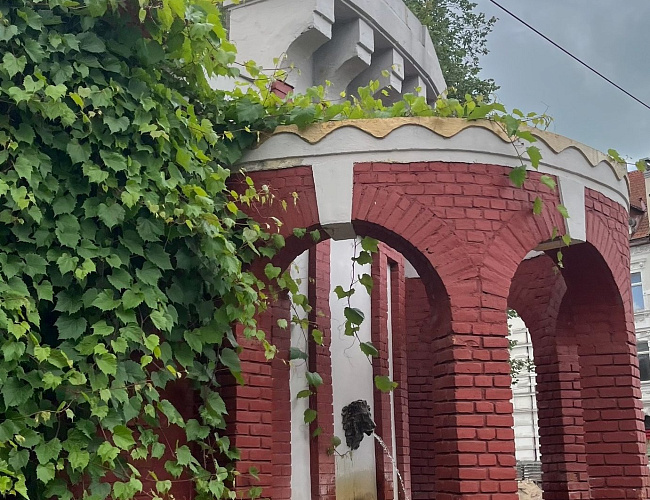 Фонтан со скульптурой орла и маскароном льва