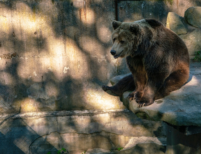 Новогодняя квест-игра «Тёплые истории»