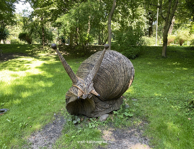 Ландшафтный парк / Калининградский областной детско-юношеский центр экологии, краеведения и туризма