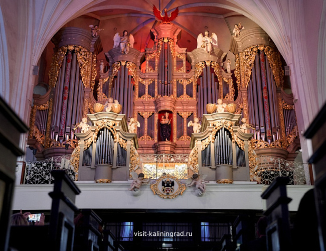 Гении в лабиринтах истории и органный мини-концерт