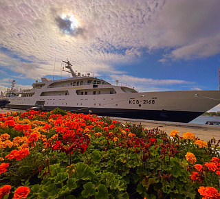 Лучшие локации побережья: Балтийск, Янтарный, Светлогорск