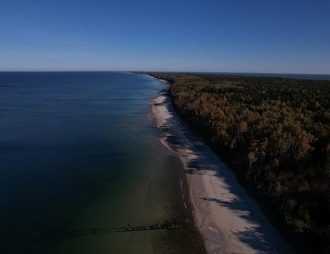 День рождения Национального парка «Куршская коса»
