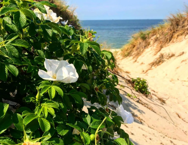 Самая западная точка России: Балтийск и Балтийская коса