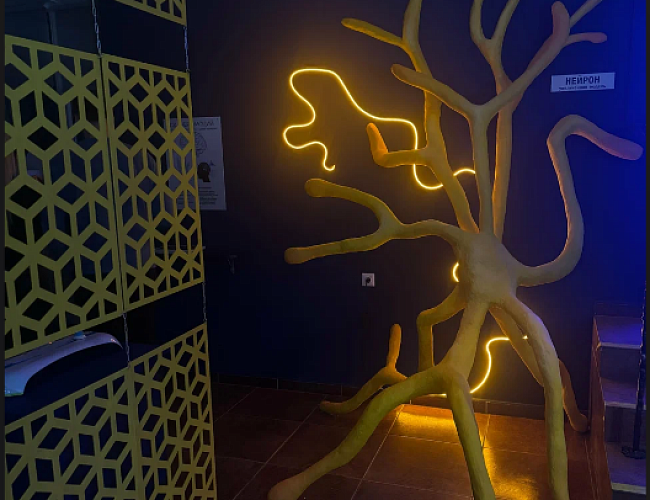 Музей "Тайна мозга"