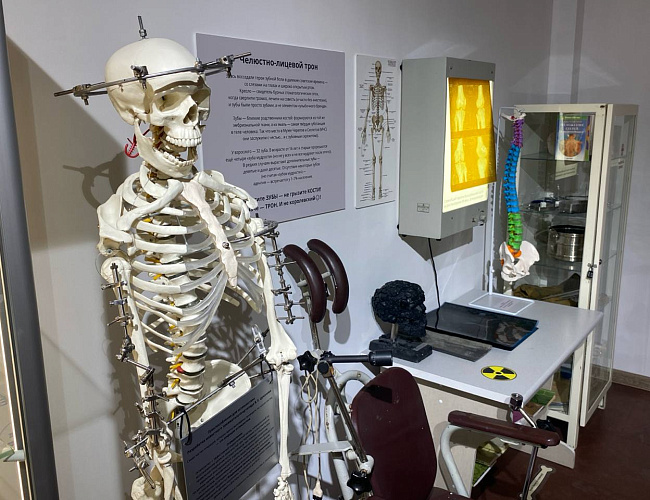 Музей черепов и скелетов