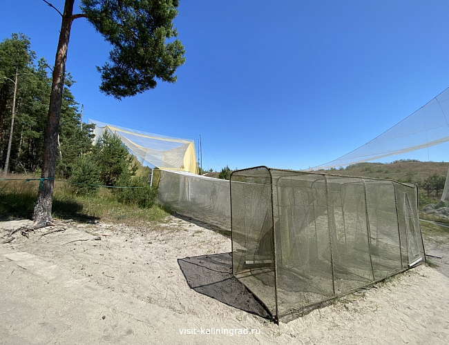 Орнитологическая станция «Фрингилла»