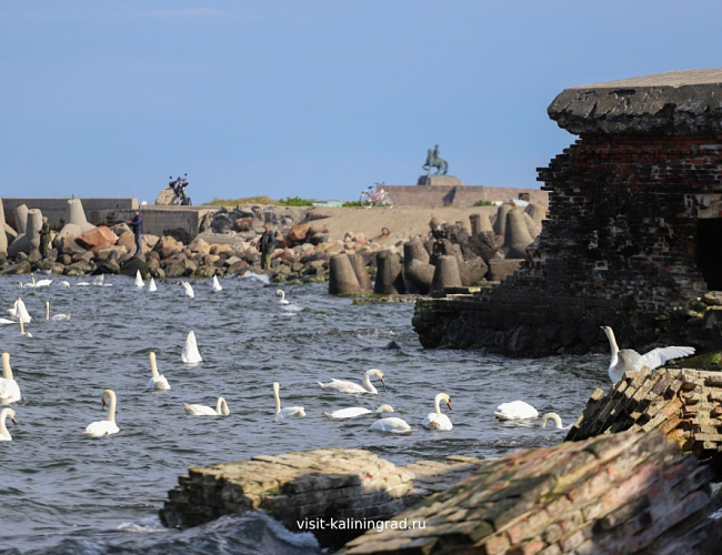 Балтийск и Балтийская Коса