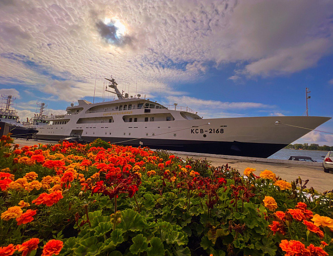 Лучшие локации побережья: Балтийск, Янтарный, Светлогорск