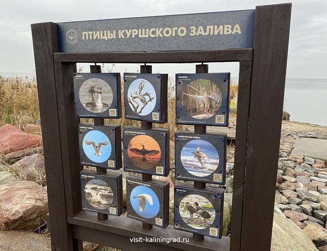 Старый маяк в посёлке Заливино / Маяк Риндерорта