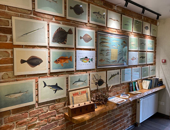 Музей Рыбака и Рыб