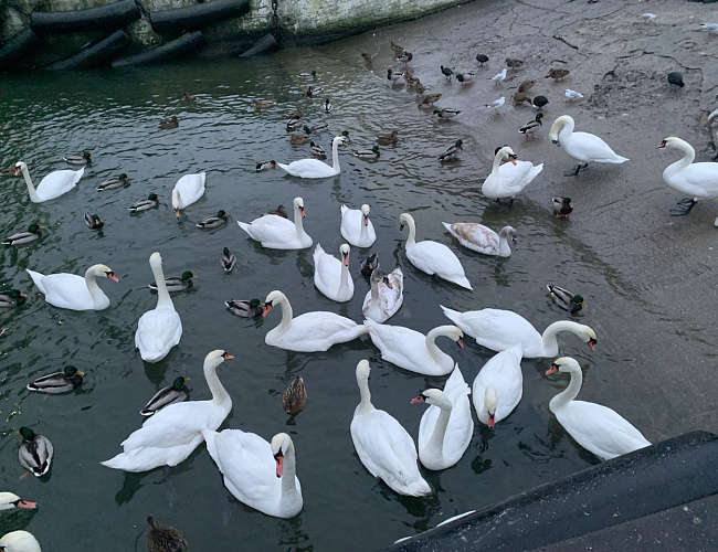 Секреты Балтийского побережья: от Янтарного до Балтийска