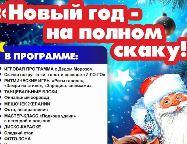 Новый год - на полном скаку