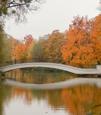 Самые интересные события ноября