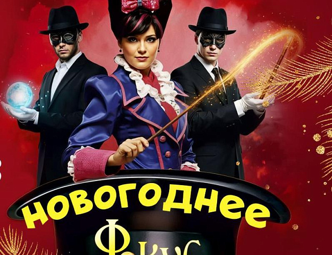 Новогоднее ФОКУС ШОУ