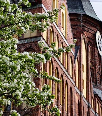 Режим работы учреждений культуры и ТИЦ на праздники в марте