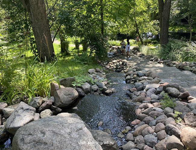 Ландшафтный парк / Калининградский областной детско-юношеский центр экологии, краеведения и туризма