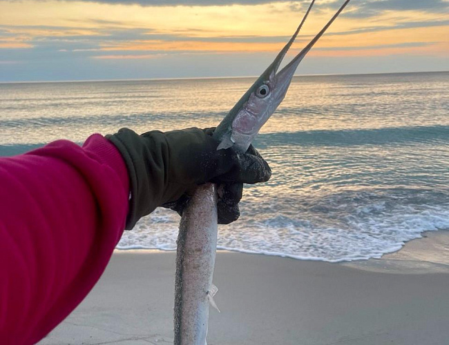 Морская рыбалка с «КамбалаТур»