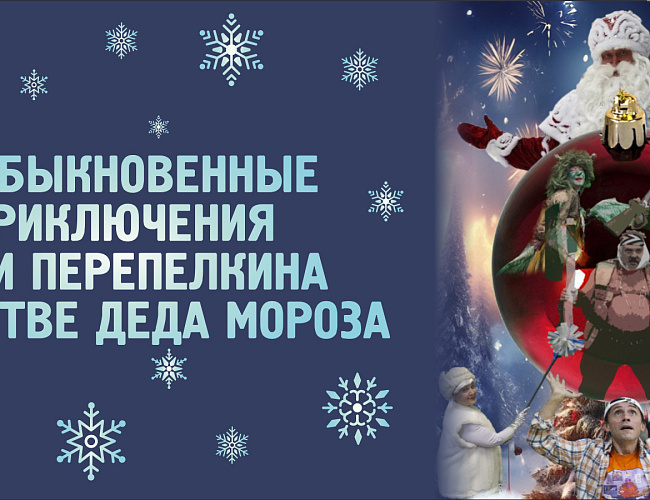 Необыкновенные приключения Пети Перепелкина в царстве Деда Мороза