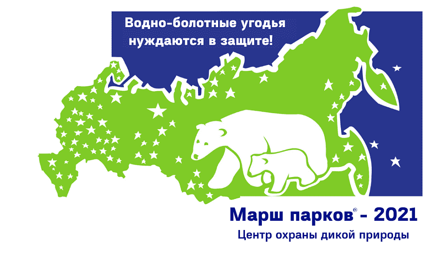 Продолжается приём заявок на участие в Марше парков Продолжается приём заявок на участие в Марше парков