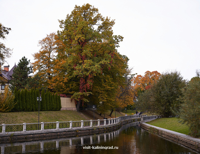 Верхний пруд