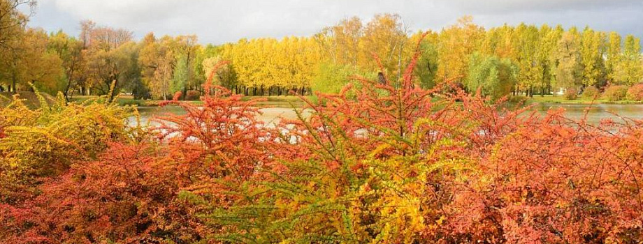 Золотая осень в регионах Серебряного ожерелья: лучшие локации для атмосферных фотосессий