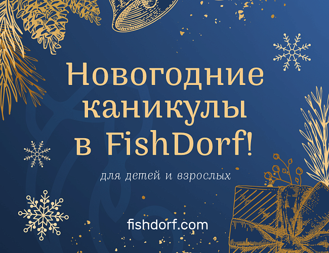 Январские каникулы в FishDorf