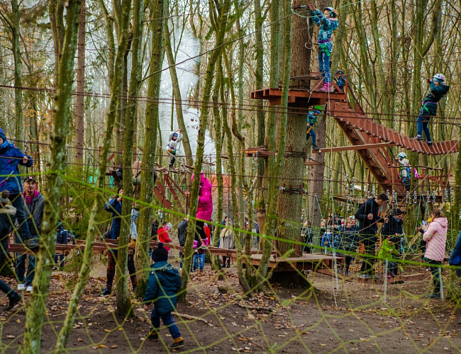 Парк Янтарного периода