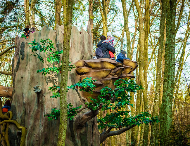 Парк Янтарного периода