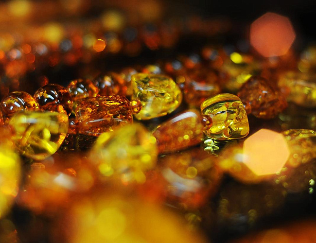 В поисках Янтарной комнаты: п. Янтарный и г. Светлогорск