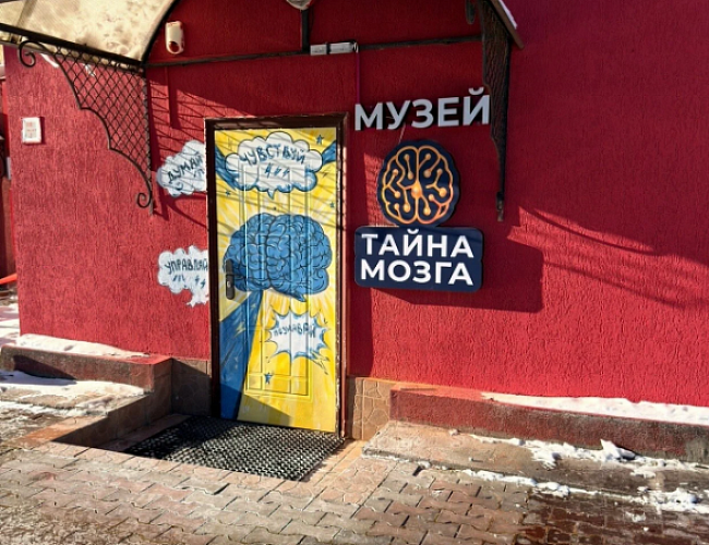 Музей "Тайна мозга"