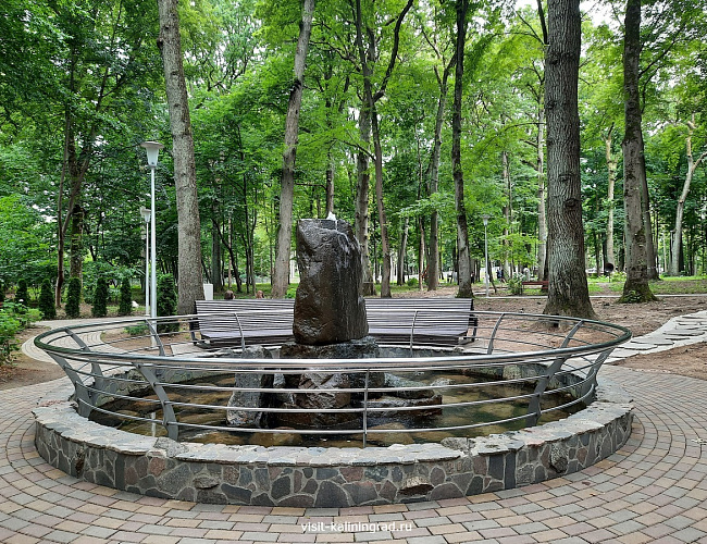 Парк сенситивного развития