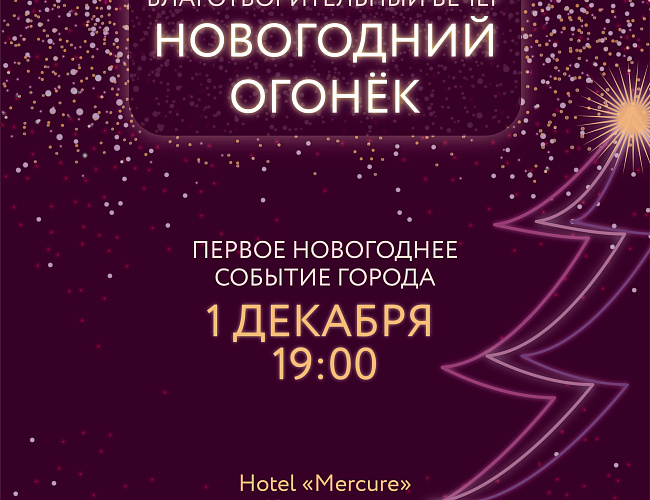 Благотворительный вечер "Новогодний огонёк"