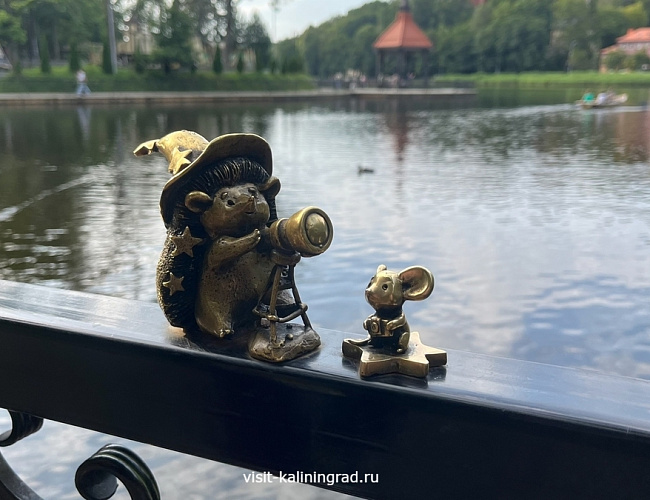 Светлоёжики в Светлогорске