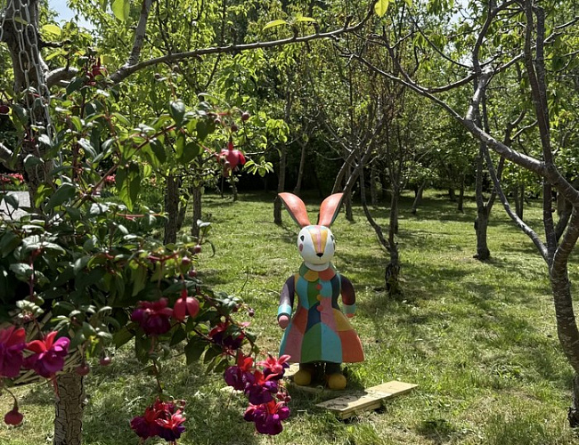 Цветочный парк «Цветные сны»
