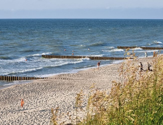 Куршская коса, г. Зеленоградск и сыроварня «ШаакенДорф» с дегустацией