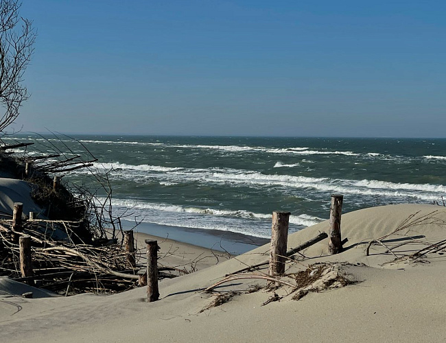 Куршская коса, замок «Нессельбек» и Зеленоградск - путешествие между эпохами