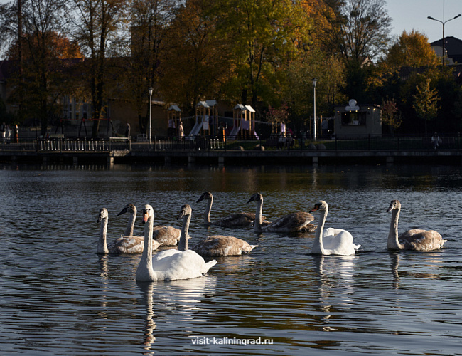 Верхний пруд