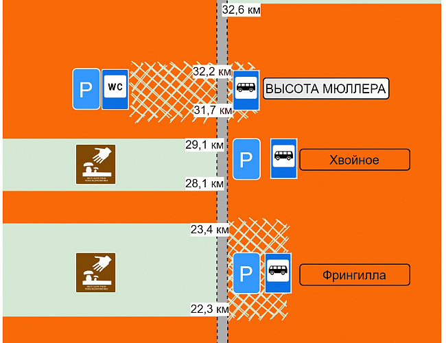 Грибной фестиваль на Куршской косе